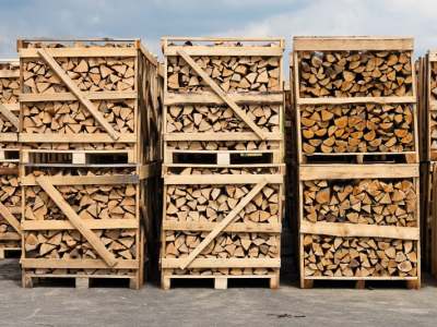 a large stack of wood for firewood. packed on pallets